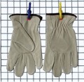 Safety Gloves PCGL